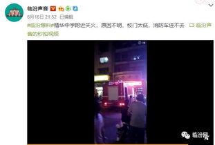 去哪看东映爆料视频啊,东映爆料视频观看指南